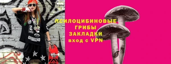 мет Осташков