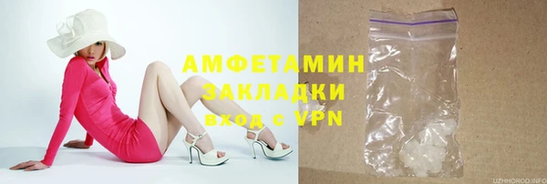 индика Пестово