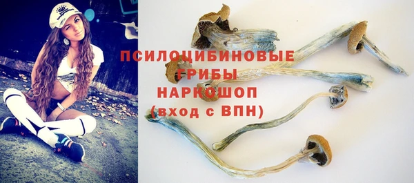 дурь Остров