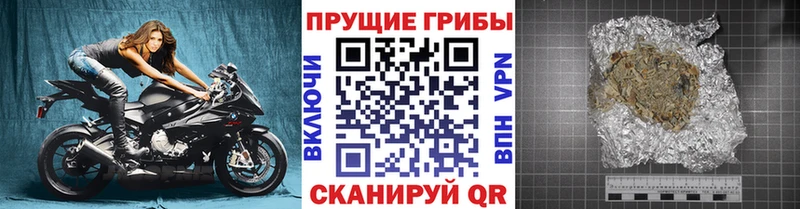 Купить  Кунгур  Псилоцибиновые грибы Magic Shrooms 