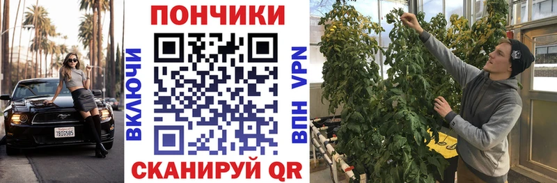 Бошки Шишки OG Kush  Купить где  Кунгур 